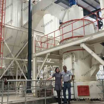 石灰石粉加工设备 雷蒙磨石粉加工设备 高钙石磨粉加工设备图4