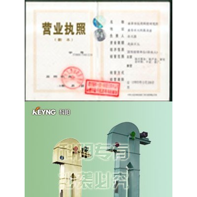 选山东科阳牌斗式提升机垂链辊子输送机粮食输送机皮带输送机直斗式提升机板链式提升机滚筒输送机值得信赖图4