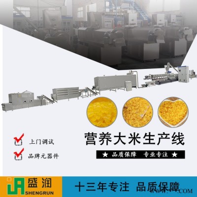 祥云健康营养粉加工设备重组大米生产设备加工设备