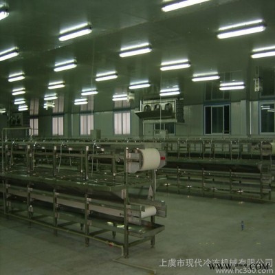 现代龙 鱼加工设备，水产品生产线，贝类加工设备