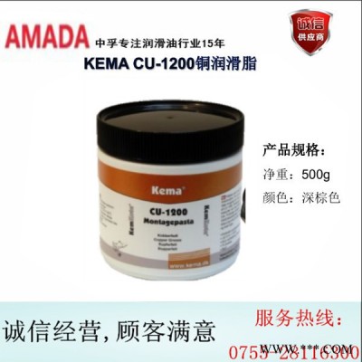 东莞_供应丹麦KEMA CU-1200 铜油脂_丹麦铜油脂型号/图片图4