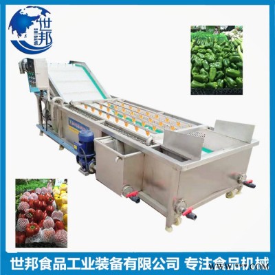 净菜加工成套设备 净菜加工清洗设备 可加工定制 蔬菜涡流清洗机 净菜加工设备图3