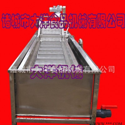 大洋牌蔬菜加工设备——叶菜类清洗机图3