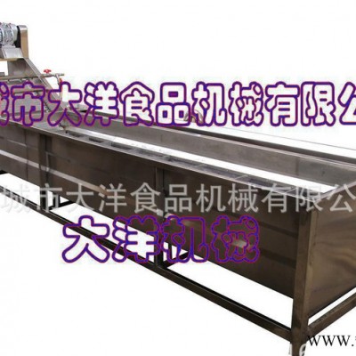 大洋牌蔬菜加工设备——叶菜类清洗机图1