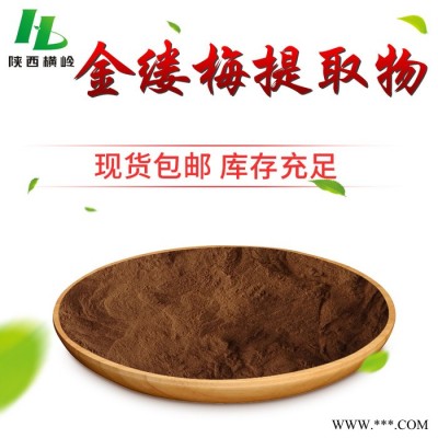 北美金缕梅提取物 金缕梅浓缩粉 水溶性好 横岭现货供应图4