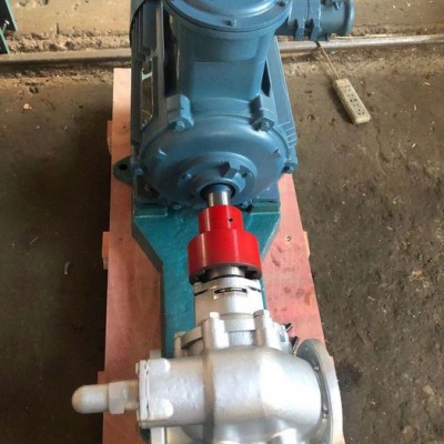 KCB-300 kcb齿轮泵油脂输送泵不锈钢齿轮泵图3