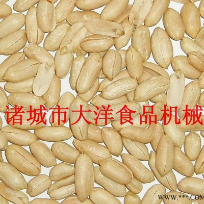 鱼皮花生加工设备 全套的花生米加工机械图2