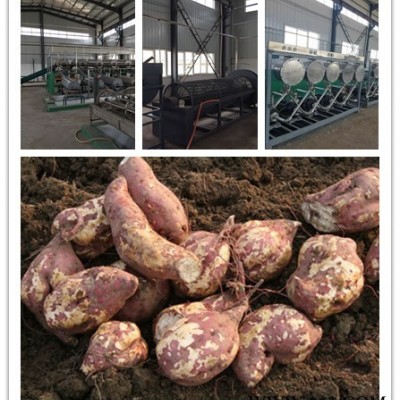 中科  红薯淀粉加工设备 环保型FL系列大型红薯淀粉粉条加工成套设备 大型红薯淀粉加工设备图6