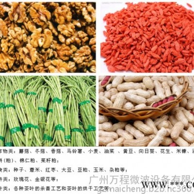 广州万程微波设备CNWB蔬菜加工设备  化工设备