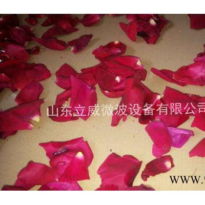 2016年度全新款式山东立威微波设备专业微波干燥大枣加工设备