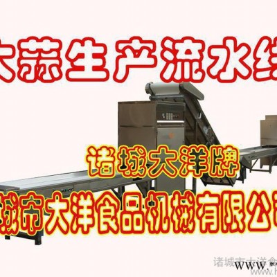 高品质大蒜加工设备，大蒜加工生产线—大洋图3
