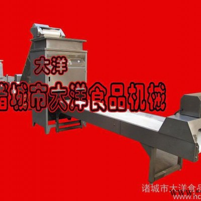 高品质大蒜加工设备，大蒜加工生产线—大洋图1