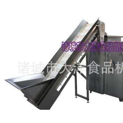 大洋DY600/300型连续式大蒜加工设备图1