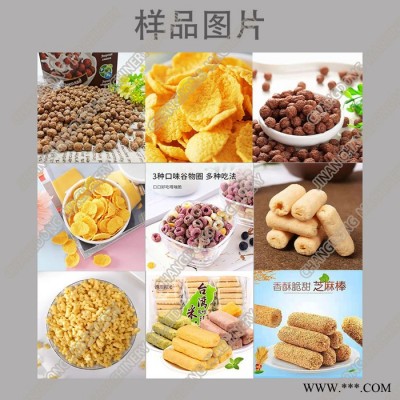昌东 DS系列膨化泡芙圈加工设备 网红泡芙圈生产线 泡芙小星星加工设备 休闲食品设备图4