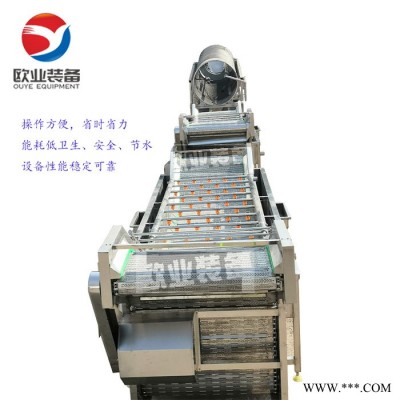 净菜加工流水线果蔬清洗加工流水线气泡清洗机蔬菜加工设备生产线净菜加工流水线山东欧业图3