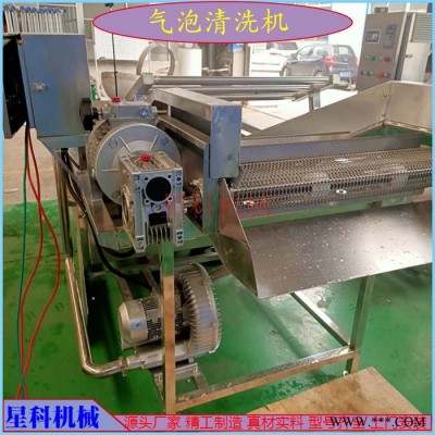 红枣清洗设备 红枣清洗设备 净菜加工设备图3