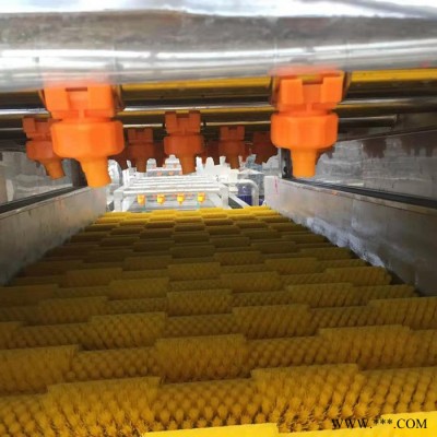 红枣清洗设备 红枣清洗设备 净菜加工设备图4