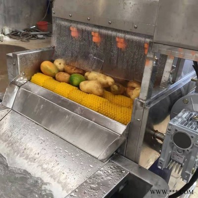 红枣清洗设备 红枣清洗设备 净菜加工设备图5