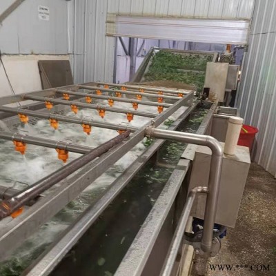 气泡清洗设备 红枣清洗设备 净菜加工设备