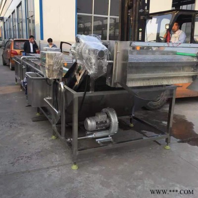 气泡清洗设备 红枣清洗设备 净菜加工设备图4