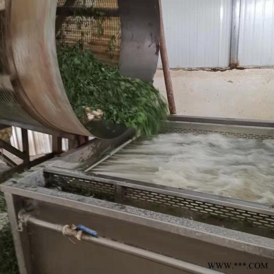 气泡清洗设备 红枣清洗设备 净菜加工设备图2