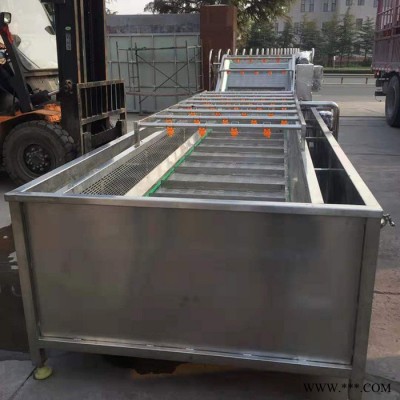气泡清洗设备 红枣清洗设备 净菜加工设备图6