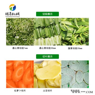 腾昇TS-Q118蔬菜类食品加工设备 水果蔬菜加工设备 蔬菜切丝果切片机图2