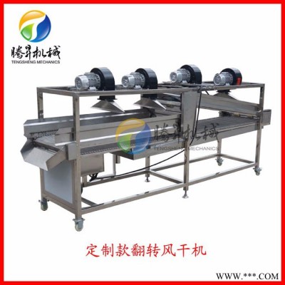 广东腾昇厂家果蔬成套加工设备 大型自动果蔬加工全套设备厂家 定制款图2