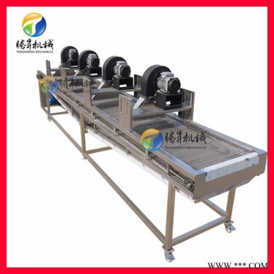 广东腾昇厂家果蔬成套加工设备 大型自动果蔬加工全套设备厂家 定制款图4