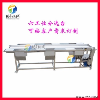 广东腾昇厂家果蔬成套加工设备 大型自动果蔬加工全套设备厂家 定制款图5