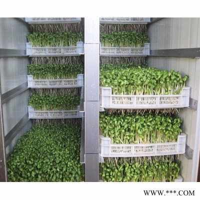 广州豆芽加工设备价格，豆芽加工设备价格，生产豆芽设备价格图4