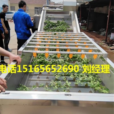 鲜叶菜清洗线，佳品机械山野菜清洗机 鲜叶菜加工设备，野菜加工设备图2