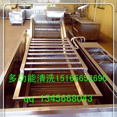 鲜叶菜清洗线，佳品机械山野菜清洗机 鲜叶菜加工设备，野菜加工设备图6