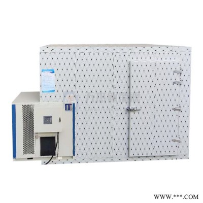 天杰 粉条加工设备 粉条加工机图4