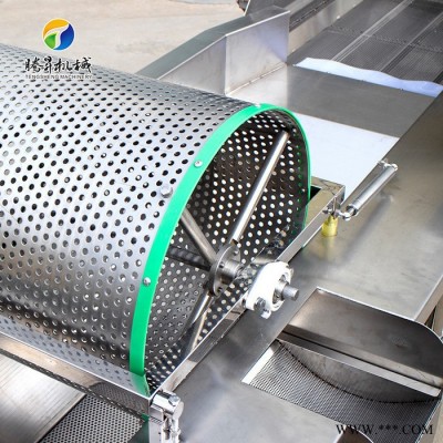 【腾昇】TS-X680 净菜设备 净菜加工流水线 净菜加工设备 厂家新研发漩流洗菜机图4