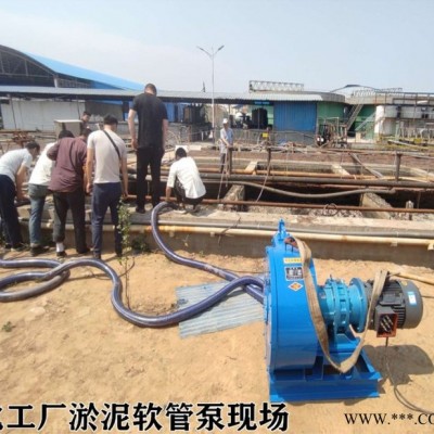 腐蚀性液体输送泵 油脂工业蠕动泵 油料软管蠕动泵