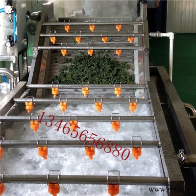义康牌QX-3000型花椒加工设备  保鲜花椒加工设备 保鲜花椒设备价格图7