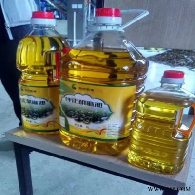 厂家直供 小型精炼油设备 油脂脱色脱臭脱水精炼油机设备 日产1吨食用油精炼生产线图3