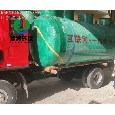 留润环保厂家定制 江西萍乡食品加工污水处理设备气浮机 设计方案 消毒设备 药剂 LR-WSZ 腐竹加工污水处理设备图5