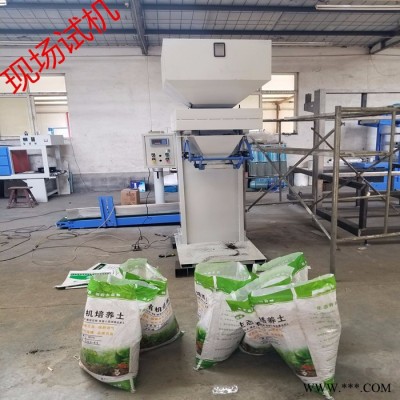 衡水 粉剂袋装包装机 工业油脂定量打包秤 石膏粉计量包装机图5