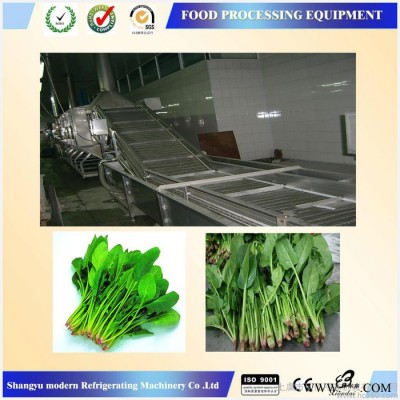 **】菠菜速冻前处理生产线，蔬菜速冻加工设备图2