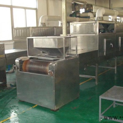 万程微波CNWB系列 调味品加工设备图2