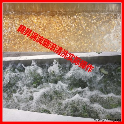 腾昇TS-X680蔬菜加工设备 蔬菜瓜果清洗机 超声波洗菜机 净菜加工设备图3