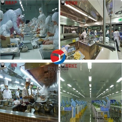 欧业食品净菜加工流水线净菜加工流水线设备图5