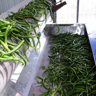 恒松 加工定制 污泥烘干设备 牧草烘干设备厂图1