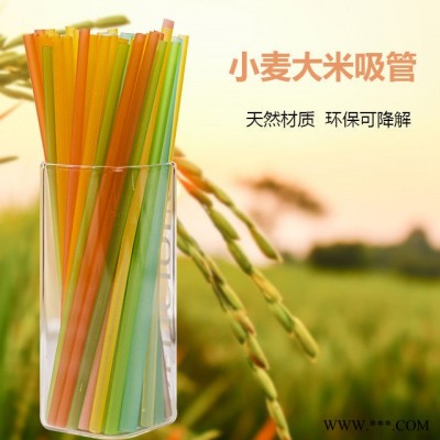 济南盛润机械厂家大米吸管加工设备 可食用吸管机械 大米吸管生产设备 吸管加工设备图4