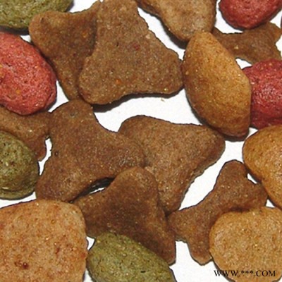 南京宠物饲料生产线 宠物加工设备图2