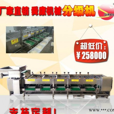 定做900蔬菜加工设备花生分级机 挑选机图3