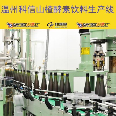 整套山楂酵素生产设备 全自动山楂酵素加工设备厂家图2