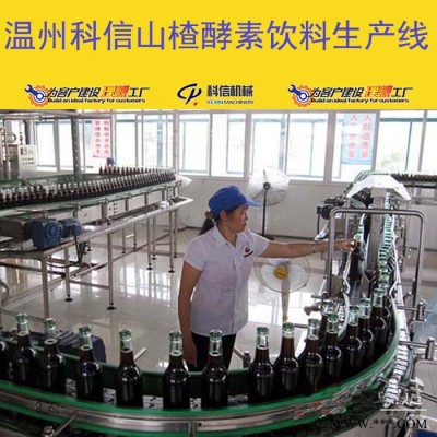 整套山楂酵素生产设备 全自动山楂酵素加工设备厂家图7